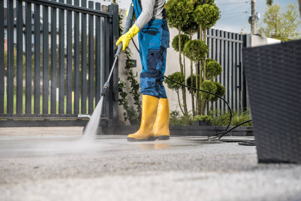 Best Dumpster Area Cleaning  in Johnson City, NY